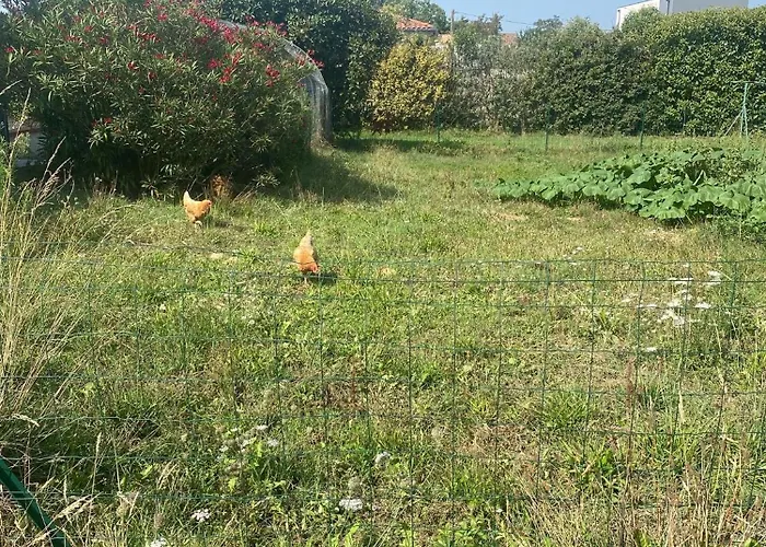 Maison Avec Piscine, Ker Animheart Bed and Breakfast Carbonne