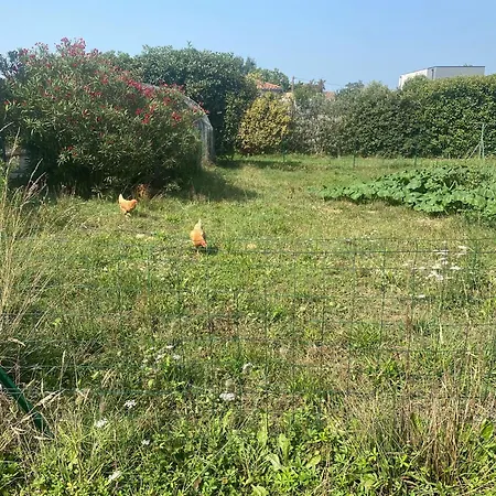 Maison Avec Piscine, Ker Animheart Nocleg ze śniadaniem Carbonne