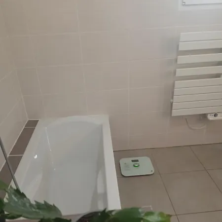 Maison Avec Piscine, Ker Animheart Carbonne